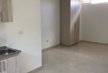 Apartaestudios, Alquiler, Limonar